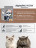 AlphaPet WOW Superpremium сухой полнорационный корм для взрослых стерилизованных кошек и котов c цыпленком - 750 г