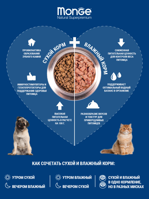 Monge Dog Fruit влажный корм для взрослых собак с индейкой и черникой в ламистере 100 г (32 шт в уп)