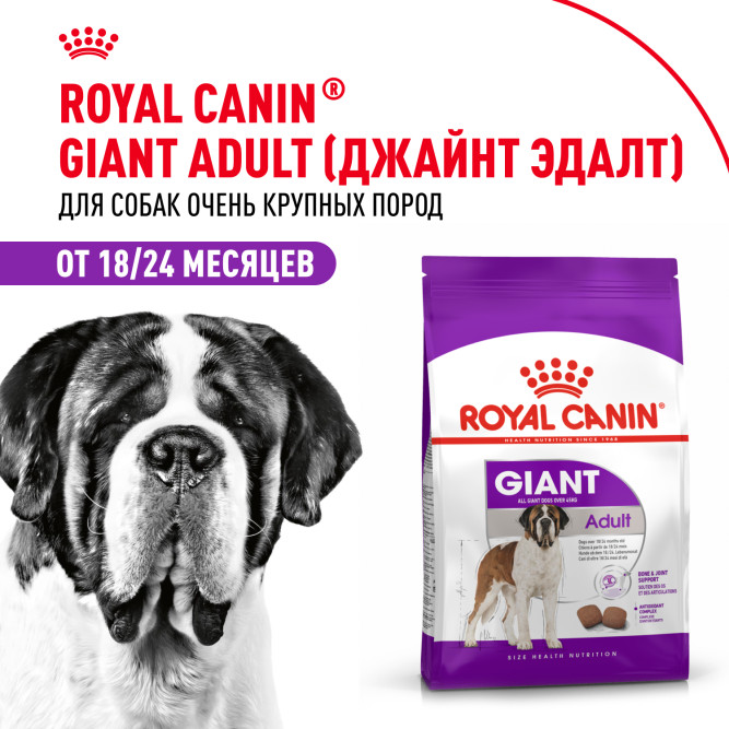 Royal Canin Giant Adult корм для собак гигантских пород старше 18/24 месяцев - 4 кг