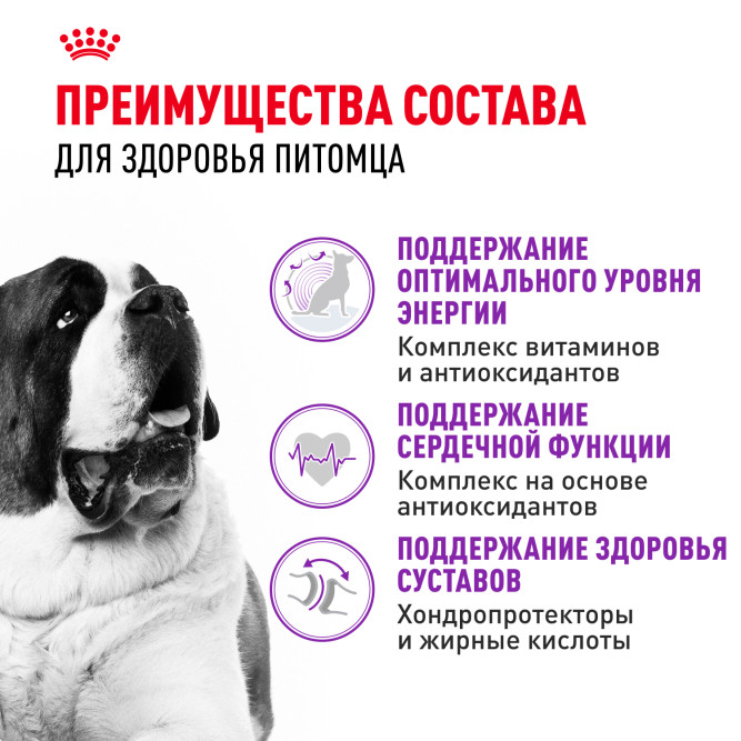 Royal Canin Giant Adult корм для собак гигантских пород старше 18/24 месяцев - 4 кг