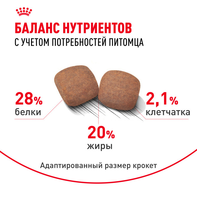 Royal Canin Giant Adult корм для собак гигантских пород старше 18/24 месяцев - 4 кг