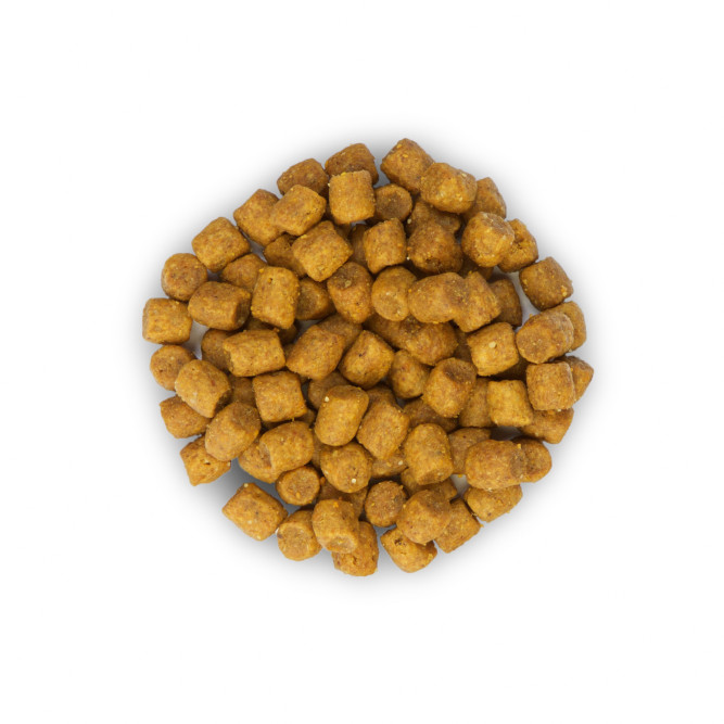 Сухой корм Hills Science Plan для взрослых кошек для поддержания жизненной энергии и иммунитета, с ягненком - 10 кг