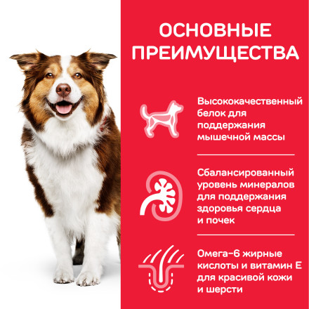 Сухой корм Hills Science Plan для пожилых собак (7+) средних пород для поддержания активности и здоровья желудочно - кишечного тракта, с курицей - 12 кг