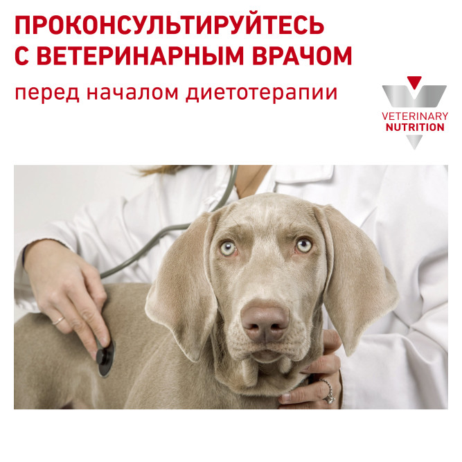 Royal Canin Cardiac EC26 сухой корм для собак при заболеваниях сердца - 2 кг