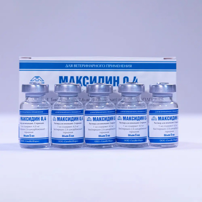 Максидин 0,4 иммуномодулирующий инъекционный препарат - 5 флаконов х 5 мл