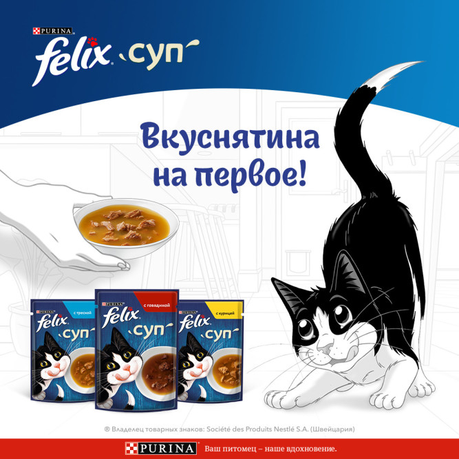 Felix влажный корм для взрослых кошек суп с треской в паучах - 48 г х 36 шт