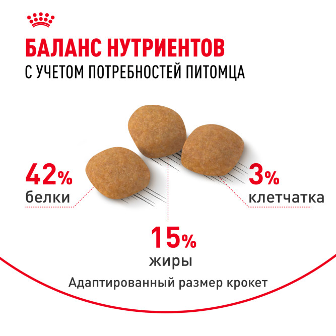 Royal Canin Exigent Protein Preference сухой корм для взрослых кошек привередливых к составу - 400 г