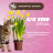 Cat Step Tofu Lotus наполнитель комкующийся растительный с ароматом лотоса - 12 л (5,4 кг)