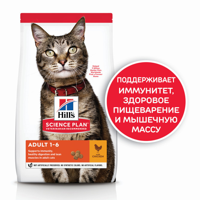 Сухой корм Hills Science Plan для взрослых кошек для поддержания жизненной энергии и иммунитета, с курицей - 15 кг