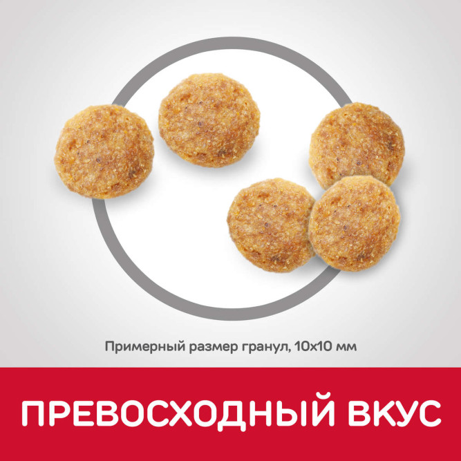 Сухой корм Hills Science Plan для взрослых кошек для поддержания жизненной энергии и иммунитета, с курицей - 15 кг