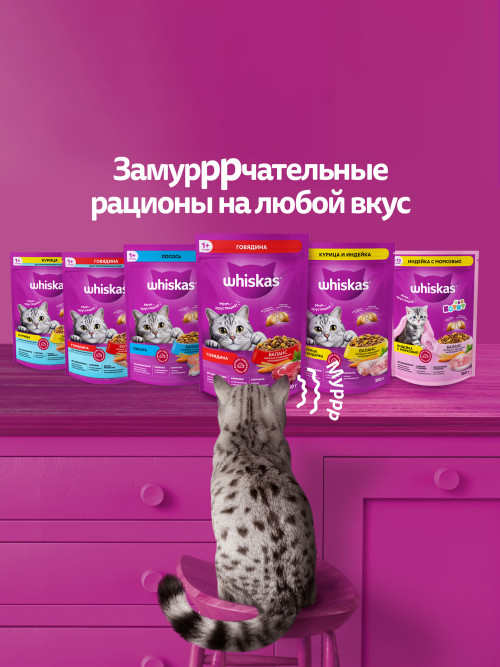 Whiskas Вкусные подушечки с нежным паштетом, сухой корм для взрослых кошек, Аппетитное ассорти с курицей и индейкой - 5 кг