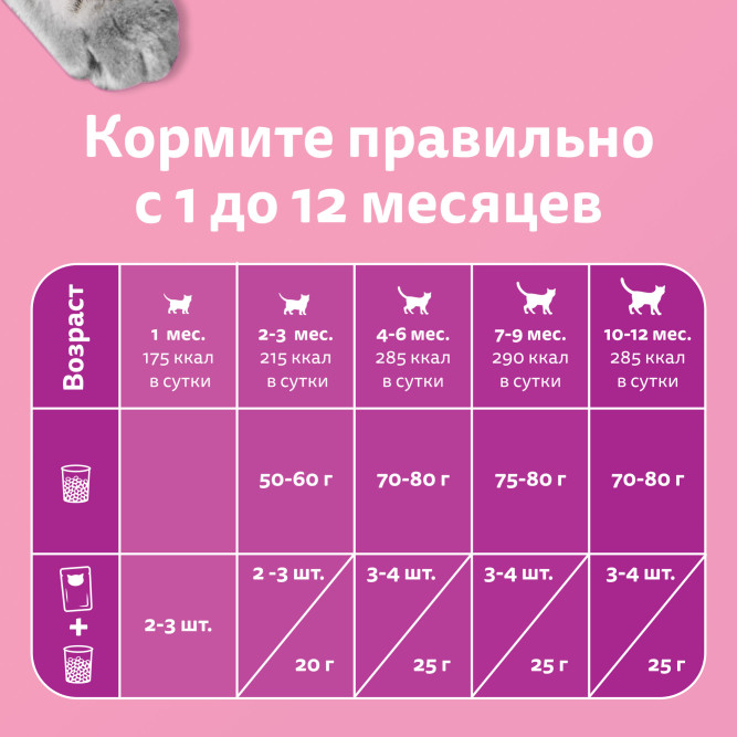 Whiskas влажный корм для котят от 1 до 12 месяцев, рагу с ягненком, в паучах - 75 г х 28 шт