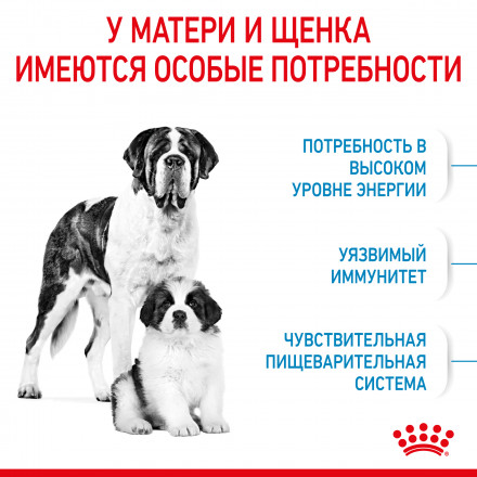 Royal Canin Giant Starter сухой корм для щенков до 2 месяцев, беременных и лактирующих собак гигантских пород - 15 кг