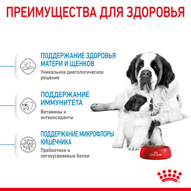 Royal Canin Giant Starter сухой корм для щенков до 2 месяцев, беременных и лактирующих собак гигантских пород - 15 кг