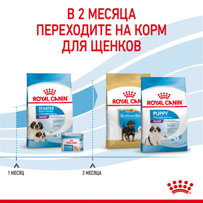 Royal Canin Giant Starter сухой корм для щенков до 2 месяцев, беременных и лактирующих собак гигантских пород - 15 кг