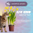 Cat Step Tofu Tutti Frutti наполнитель комкующийся растительный с ароматом лимонной карамели - 12 л (5,5 кг)