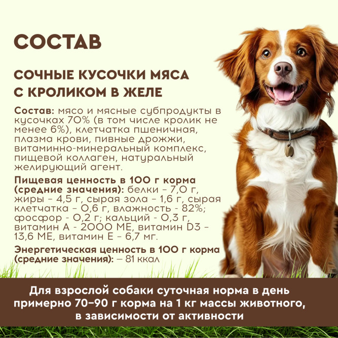 Chester влажный корм для взрослых собак всех пород, сочные кусочки мяса с кроликом в желе, в ламистерах - 100 г х 16 шт