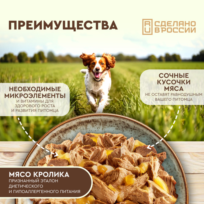 Chester влажный корм для взрослых собак всех пород, сочные кусочки мяса с кроликом в желе, в ламистерах - 100 г х 16 шт