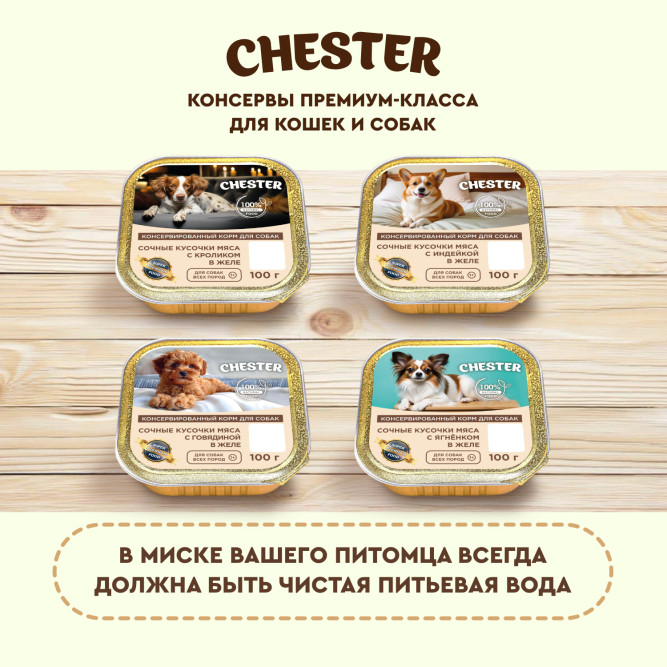 Chester влажный корм для взрослых собак всех пород, сочные кусочки мяса с кроликом в желе, в ламистерах - 100 г х 16 шт