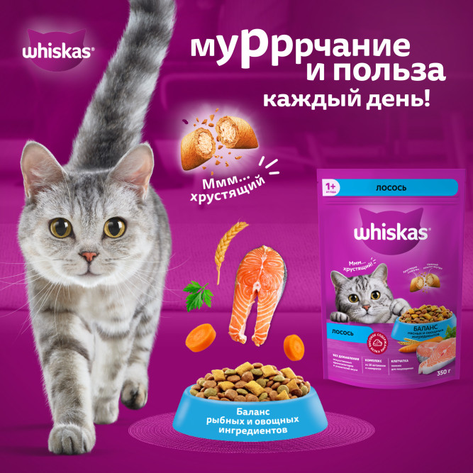 Whiskas Вкусные подушечки с нежным паштетом, сухой корм для взрослых кошек, Аппетитный обед с лососем - 350 г
