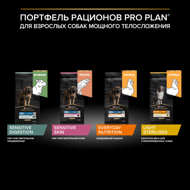 Pro Plan Adult Everyday Nutrition сухой корм для взрослых собак крупных пород с мощным телосложением, с курицей - 14 кг