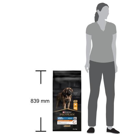 Pro Plan Opti Balance Large Robust сухой корм для взрослых собак крупных пород с мощным телосложением с курицей - 14 кг