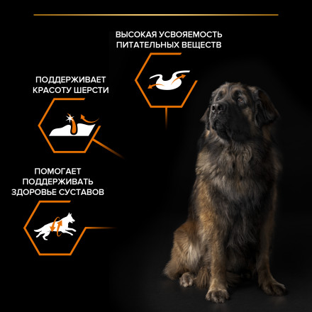 Pro Plan Opti Balance Large Robust сухой корм для взрослых собак крупных пород с мощным телосложением с курицей - 14 кг