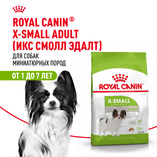 Royal Canin X-Small Adult для собак миниатюрных размеров от 10 месяцев до 8 лет - 1,5 кг