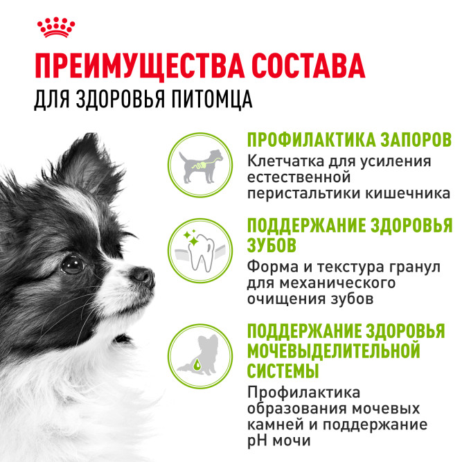 Royal Canin X-Small Adult для собак миниатюрных размеров от 10 месяцев до 8 лет - 1,5 кг