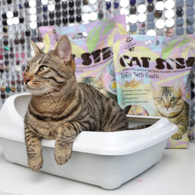 Cat Step Tofu Tutti Frutti наполнитель комкующийся растительный с ароматом лимонной карамели - 6 л (2.7 кг)