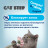 Cat Step Compact White Original наполнитель минеральный комкующийся - 5 л (4,2 кг)