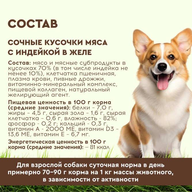 Chester влажный корм для взрослых собак всех пород, сочные кусочки мяса с индейкой в желе, в ламистерах - 100 г х 16 шт