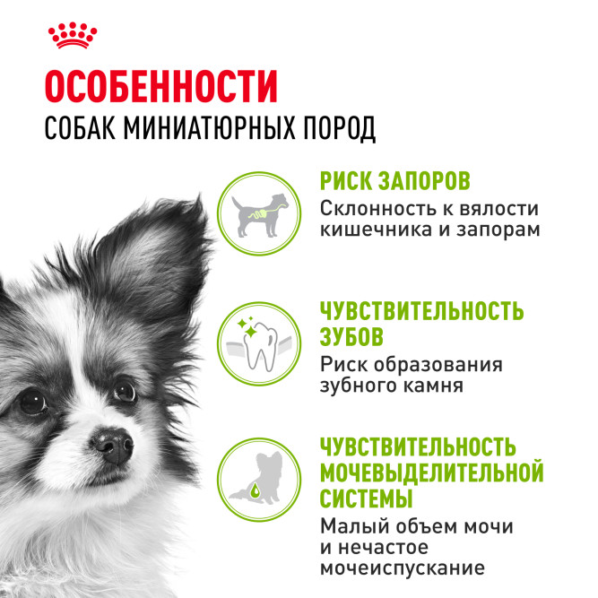 Royal Canin X-Small Adult сухой корм для взрослых собак очень мелких размеров от 10 месяцев - 500 г