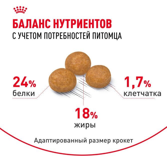 Royal Canin X-Small Adult сухой корм для взрослых собак очень мелких размеров от 10 месяцев - 500 г