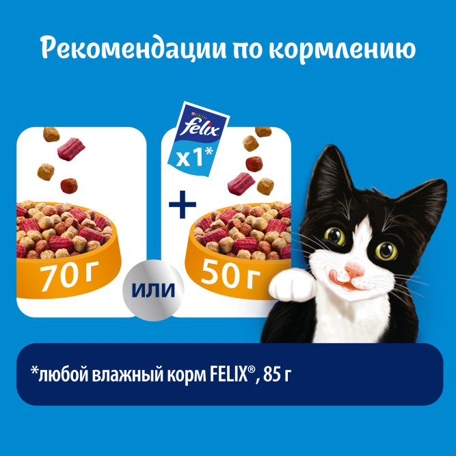 Felix Двойная вкуснятина сухой корм для взрослых кошек с мясом - 600 г