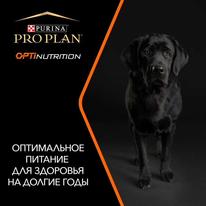 Pro Plan Adult Large Athletic сухой корм для взрослых собак крупных пород с атлетическим телосложением с курицей - 3 кг