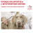 Royal Canin Mobility MC25 C2P+ корм для собак при заболеваниях опорно-двигательного аппарата - 7 кг