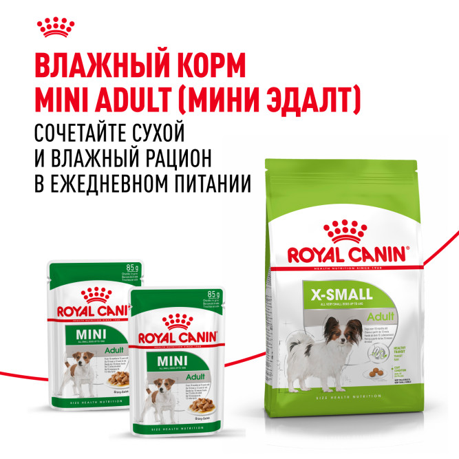 Royal Canin X - Small Adult сухой корм для собак миниатюрных пород от 10 месяцев до 8 лет - 3 кг