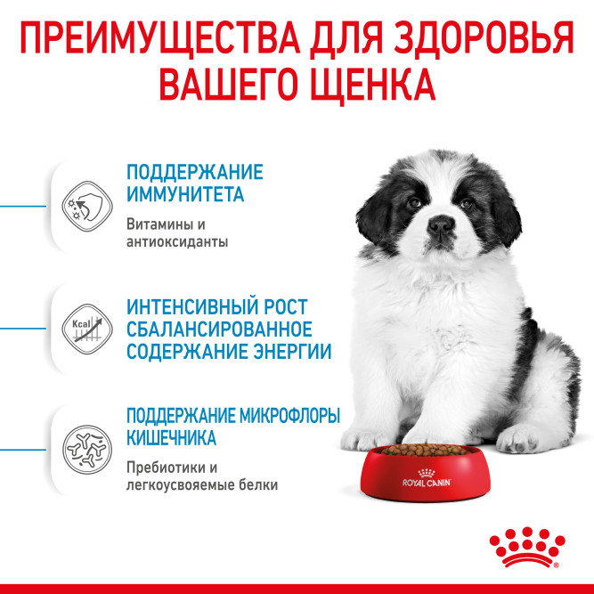 Royal Canin Giant Puppy сухой корм для щенков гигантских пород с 2 до 8 месяцев - 15 кг