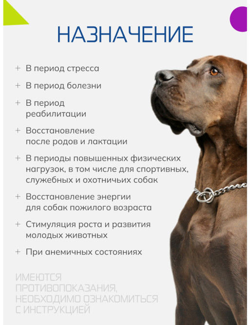 Бутофан Актив - 100 мл