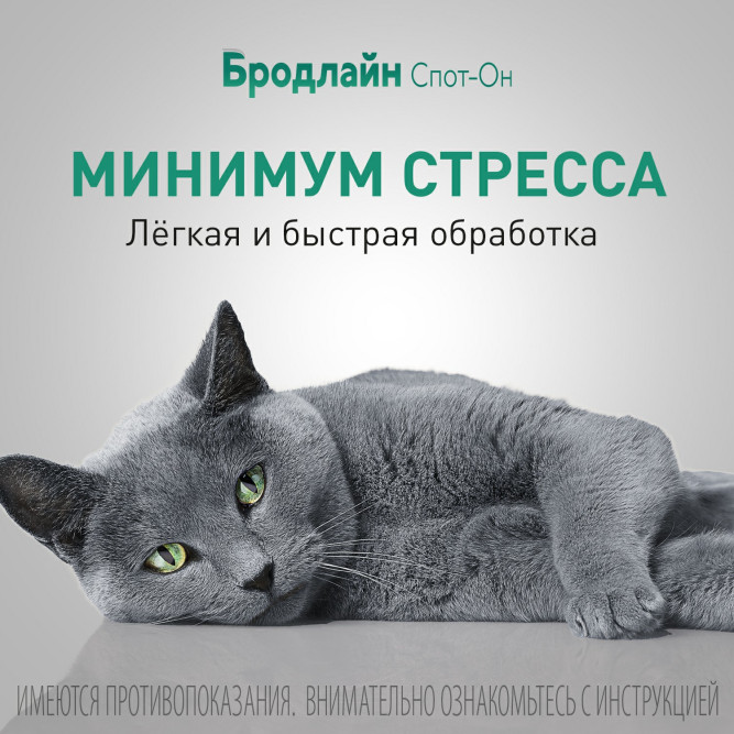 Бродлайн Спот Он в шприцах-аппликаторах капли на холку от гельминтов для кошек весом 2,5 - 7,5 кг - 0,9 мл