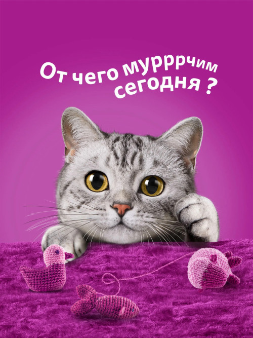 Whiskas влажный корм для взрослых кошек, желе с курицей, в паучах - 75 г х 28 шт