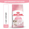 Изображение товара Royal Canin Kitten сухой корм для котят в период второй фазы роста до 12 месяцев - 1,2 кг