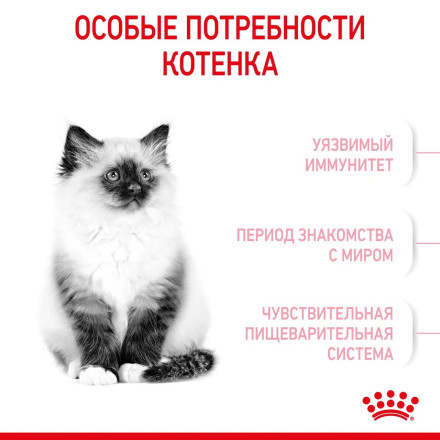 Royal Canin Kitten сухой корм для котят в период второй фазы роста до 12 месяцев - 1,2 кг