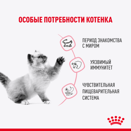 Royal Canin Kitten Sterilised влажный корм для стерилизованных котят в возрасте от 6 до 12 месяцев, мелкие кусочки в соусе, в паучах - 85 г х 28 шт