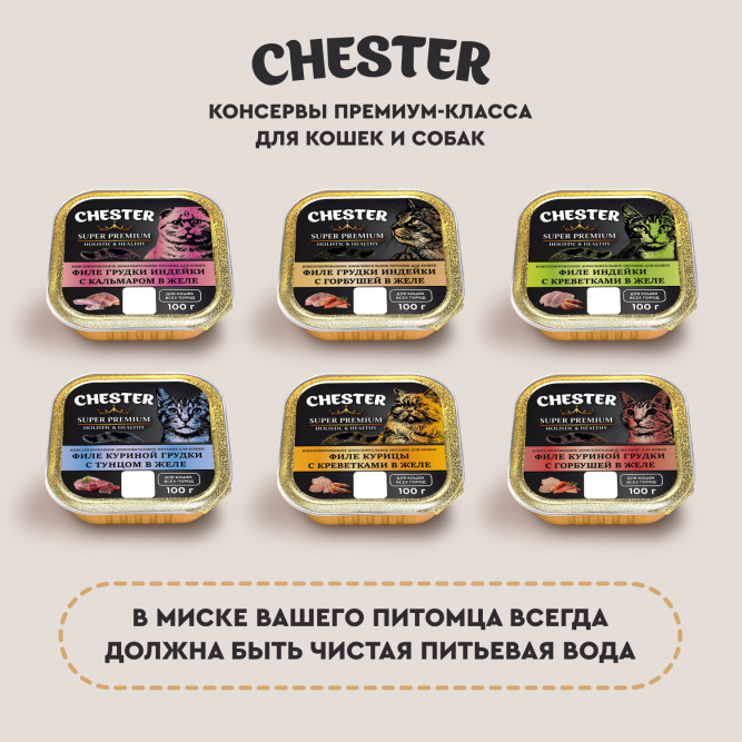 Chester влажный дополнительный корм для взрослых кошек, филе куриной грудки с тунцом в желе, в ламистерах - 100 г х 16 шт