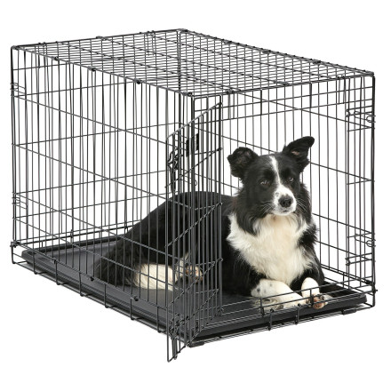 Midwest Icrate клетка для собак малых и средних размеров, черная 1 дверь - 91х58х64 см