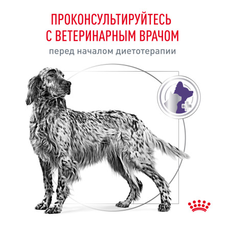 Royal Canin Neutered Adult сухой корм для кастрированных собак - 3,5 кг