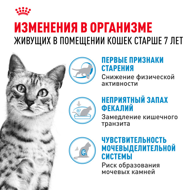 Royal Canin Feline Indoor 7+ сухой корм для пожилых кошек, постоянно проживающих в помещении - 3,5 кг