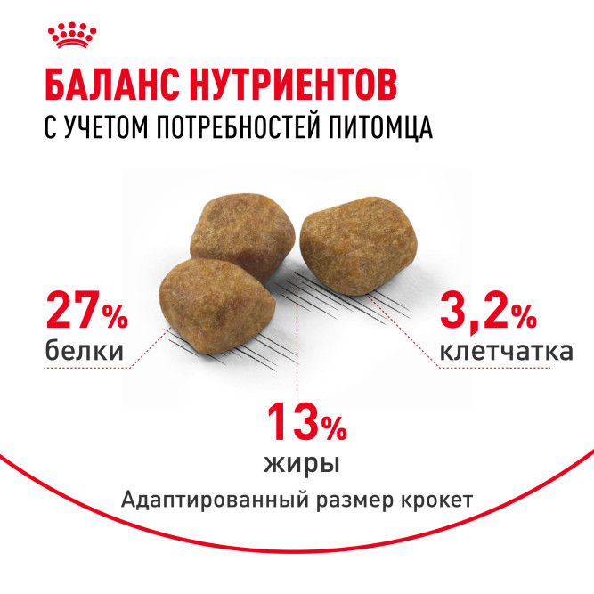 Royal Canin Feline Indoor 7+ сухой корм для пожилых кошек, постоянно проживающих в помещении - 3,5 кг